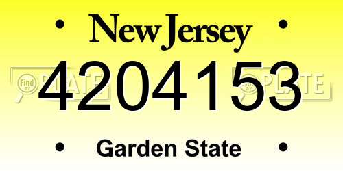 4204153 New Jersey License Plate