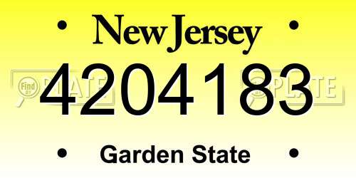 4204183 New Jersey License Plate