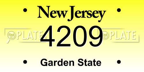 4209 New Jersey License Plate
