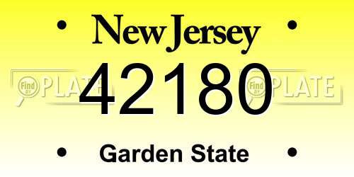 42180 New Jersey License Plate