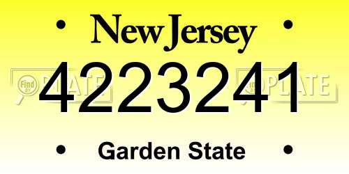 4223241 New Jersey License Plate