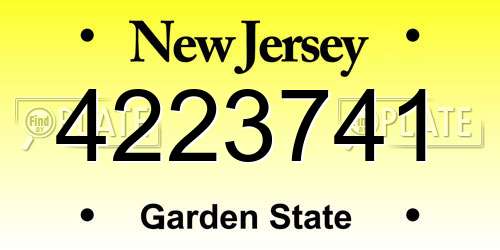 4223741 New Jersey License Plate