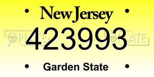 423993 New Jersey License Plate