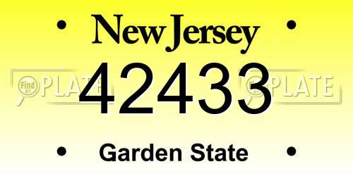 42433 New Jersey License Plate