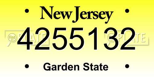 4255132 New Jersey License Plate