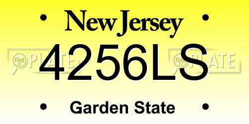 4256LS New Jersey License Plate