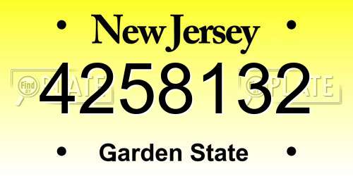 4258132 New Jersey License Plate