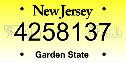 4258137 New Jersey License Plate