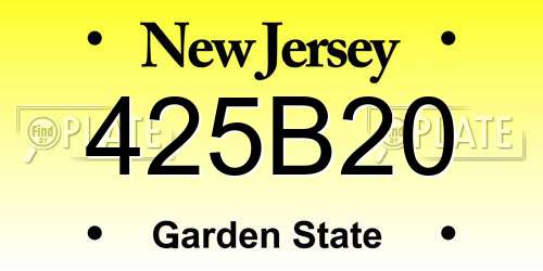 425B20 New Jersey License Plate