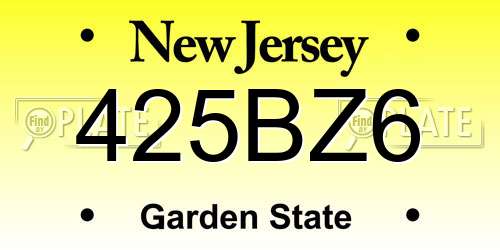 425BZ6 New Jersey License Plate