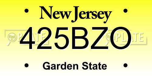 425BZO New Jersey License Plate