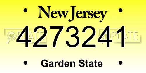 4273241 New Jersey License Plate