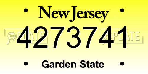 4273741 New Jersey License Plate