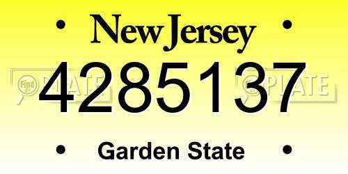 4285137 New Jersey License Plate