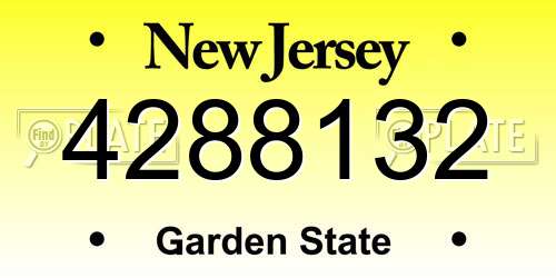 4288132 New Jersey License Plate