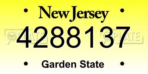 4288137 New Jersey License Plate