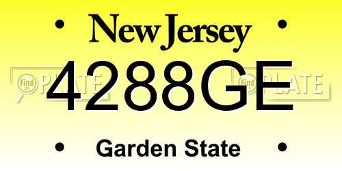 4288GE New Jersey License Plate