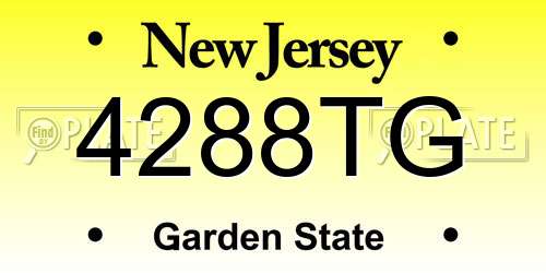 4288TG New Jersey License Plate