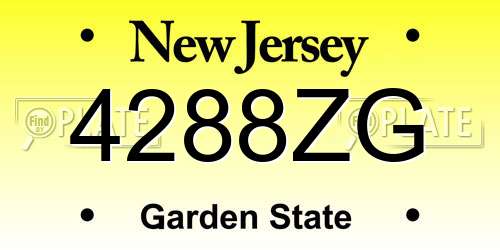 4288ZG New Jersey License Plate