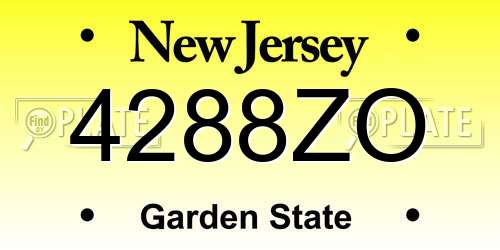 4288ZO New Jersey License Plate