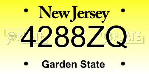 4288ZQ New Jersey License Plate