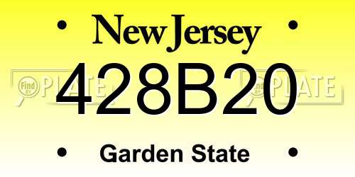428B20 New Jersey License Plate