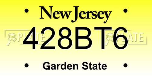 428BT6 New Jersey License Plate