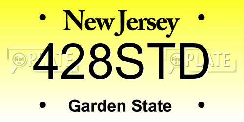 428STD New Jersey License Plate