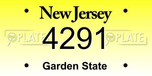 4291 New Jersey License Plate