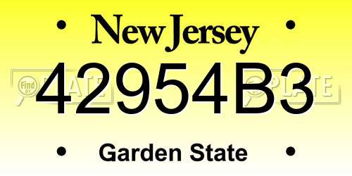 42954B3 New Jersey License Plate