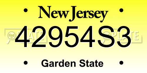 42954S3 New Jersey License Plate