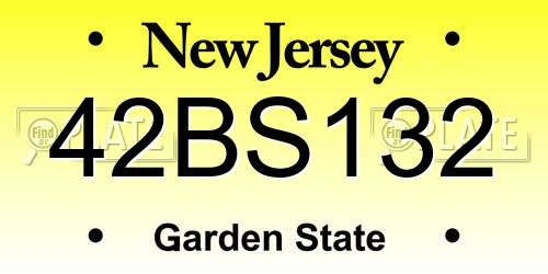 42BS132 New Jersey License Plate