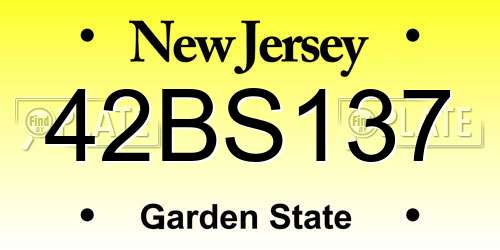 42BS137 New Jersey License Plate
