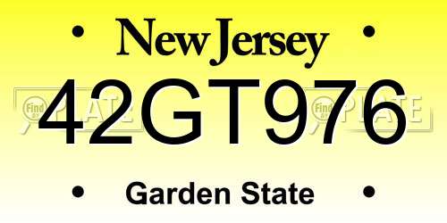 42GT976 New Jersey License Plate