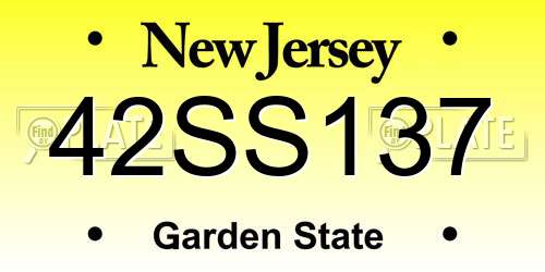 42SS137 New Jersey License Plate
