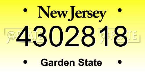 4302818 New Jersey License Plate