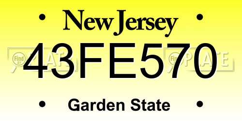 43FE570 New Jersey License Plate