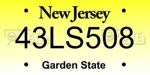 43LS508 New Jersey License Plate