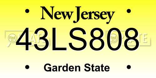 43LS808 New Jersey License Plate