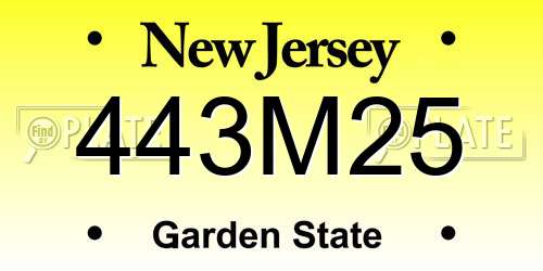 443M25 New Jersey License Plate