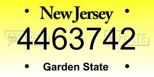 4463742 New Jersey License Plate