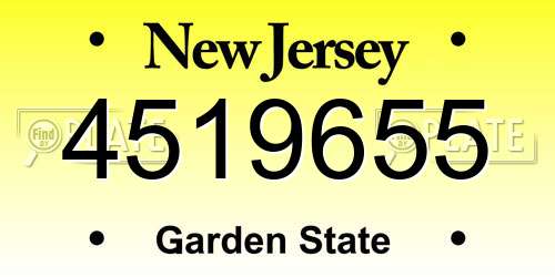 4519655 New Jersey License Plate