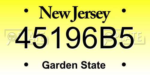 45196B5 New Jersey License Plate