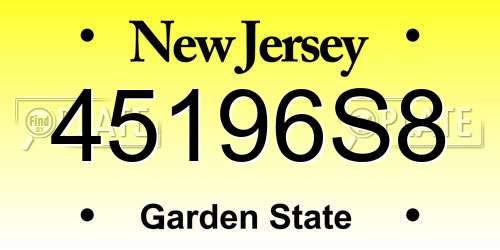 45196S8 New Jersey License Plate