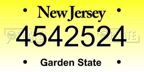 4542524 New Jersey License Plate