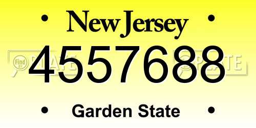 4557688 New Jersey License Plate