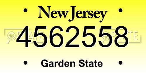 4562558 New Jersey License Plate
