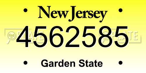4562585 New Jersey License Plate