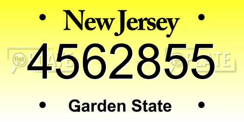 4562855 New Jersey License Plate