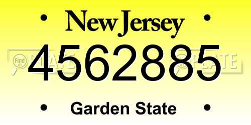 4562885 New Jersey License Plate